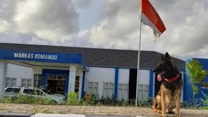 Ingin tahu daftar gaji pokok pns tahun 2019 ? Lulusan Sma Bersiap Bnn Buka Formasi Pawang Anjing Pelacak Di Cpns 2019 Ini Gaji Kerjaannya Warta Kota