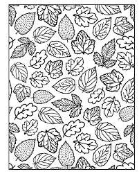 All About Autumn Coloring Book Double Pack Volumes 1 2 Art Filled Fun Coloring Books Various H R Walla Coloring Books Fall Leaves Drawing Leaf Drawing