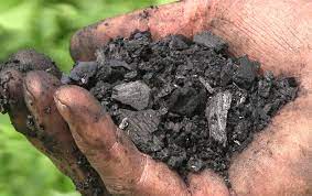 Maybe you would like to learn more about one of these? How To Make Biochar For Your Garden Garden Soil Soil Permaculture