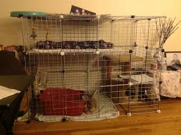 Skip to main search results. Pin On Rabbit Cage
