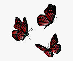 Please use and share these clipart pictures with your friends. Butterfly Animals Flying Red Flying Red Butterfly Png Transparent Png Kindpng