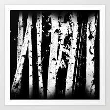 Birch trees, their distinctive white bark cut by horizontal lines, are simply stunning in photographs. White Birch Tree Art Art Gallery