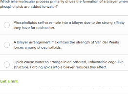Cell Membrane Questions Practice Cells Khan Academy