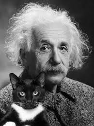 I love science. And cats. 🐾