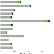 Image result for Isoglossa pawekiae