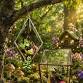 Logee's Stained Glass Terrarium Workshop