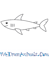 All you need is something to draw with, paper, and coloring s. How To Draw A Simple Shark For Kids