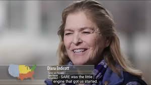 2023 Festival Videos