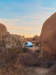 Best campgrounds & rv parks in joshua tree, ca. Joshua Tree Camping Guide The Eager Traveler