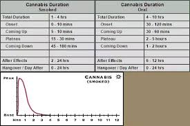 How Long Does A Marijuana High Last Quora