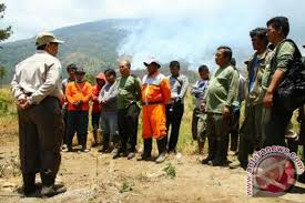 Badan usaha milik desa (bum desa) hutan desa oleh: Kebakaran Hanguskan 100 Hektare Hutan Ciremai Antara News