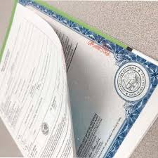 Get your today, call now! Buy Fake Birth Certificate Online Undetected Flip Bills