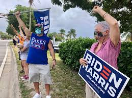 Image result for Bidens diversa