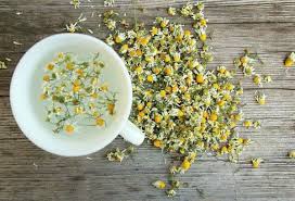 Get dried chamomile flowers at best price from dried chamomile flowers sellers & suppliers in india. How To Dry Chamomile At Home While Maintaining Maximum Benefits And Aroma