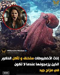 لاحظ علماء الأحياء الذين يدرسون أخطبوط سيدني (الأخطبوط التتريكوس) أن الإناث  تخنق الذكور وتهاجمهم، بل وتأكلهم، إذا ما أزعجتهم أو رفضوا التراجع أثناء  محاولات التزاوج. يبدو أن هذا السلوك مزيج من الهيمنة