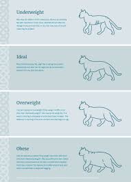 Dog Cat Body Condition Chart Burns Pet Food