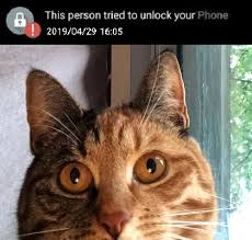 On how to unlock your iphone. This Person Tried To Unlock Your Phone Cats