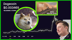 — elon musk (@elonmusk) 17 eylül 2018. Elon Musk Tweeted About Doge And It Went Flying Should You Buy Dogecoin Now Robinhood Investing Youtube