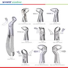 Alibaba.com offers 1,142 names dental extracting forceps products. Ss White Tooth Extraction Forceps Stainless Steel 12 Pcs Set Amazon In Industrial Scientific