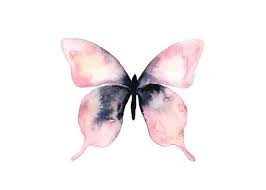Pink Watercolor Butterfly Print Butterfly Illustration Wall Art In 2020 Butterfly Watercolor Butterfly Painting Butterfly Illustration
