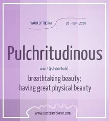 Pulchritudinous Good Vocabulary Words Interesting English Words Weird Words
