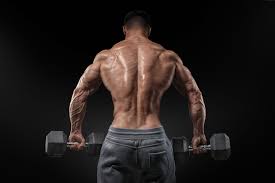 Pin On Gym Men