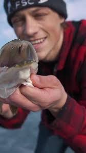 Nathan Hansel's Instagram, Twitter & Facebook