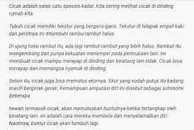 Maybe you would like to learn more about one of these? Apa Itu Observasi Kenali Juga Jenis Tujuan Contohnya