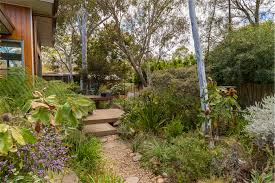 Pin On Native Garden Ideas