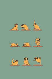 Funny Pug Doing Yoga Iphone 4s Wallpaper Funny Phone Wallpaper Funny Iphone Wallpaper Dog Wallpaper Iphone
