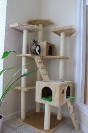 ¡has llegado al sitio adecuado! Arbol Trepador Rascador Para Gatos Casa Mascota Juego Casita En Mercadolibre Casita Para Gatos Rascador Para Gato Juegos Para Gatos