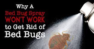 Why A Bed Bug Spray Won T Work To Get Rid Of Bed Bugs