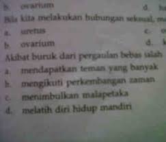 Ilmu tentang aturan rumah tangga. Siswa Sd Kelas V Diberikan Pr Soal Seks Banjarmasin Post