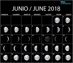 Moon Calendar