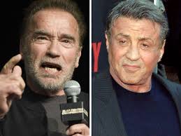 Ex-Geelong lawyer Peter Ansell breached court order, judge says