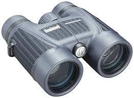 We did not find results for: Best Binoculars For Hunting In 2021 Reviews Field Tests