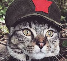 Check spelling or type a new query. Did Martha Washington Name Her Cat After Alexander Hamilton