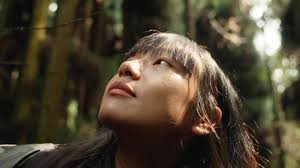 New producing work for @editionofficial x @wwf at the Giant Panda National  Park🌲intense trekking while shooting🪵directed by @yvesss8