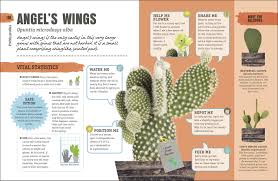 Buy or sell new and used items easily on facebook marketplace, locally or from businesses. Happy Cactus Cacti Succulents And More Dk 9781465474537 Amazon Com Books