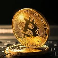Hasil gambar untuk bounty crypto