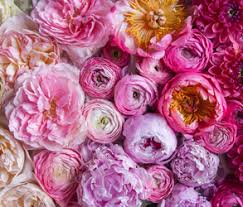 Read online books for free new release and bestseller Flowers Khush Mag Asian Wedding Magazine For Every Bride And Groom Planning Their Big Day