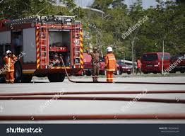 Kuala lumpur, dec 15 — members of the fire and rescue department in alor setar were called to an area near anak bukit to get rid of a deadly. Pin On Infographic Design Template