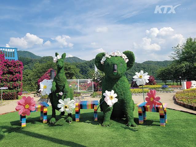 Colorful Garden 자라섬 꽃 페스타 照片 1