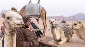 نتیجه جستجوی لغت [nomadic] در گوگل