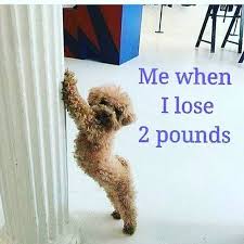 Pin On Lifetime Workouts