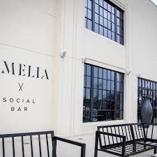 Image result for Barleria ameliae