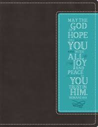 Pdf Download Niv Beautiful Word Bible Leathersoft Brown Blue 500 Full Color Illustrated Verses By Beautiful Word Bible Beautiful Words Illustrated Verses