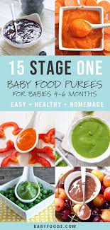 15 Stage One Baby Food Purees 4 6 Months Baby Foode Recipe Baby Food Recipes Baby Puree Recipes Pureed Food Recipes