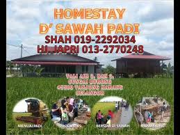 Di wilayah sepanjang jalur jalan tol dan jalan nasional. Homestay D Sawah Padi Tanjong Karang Home Facebook