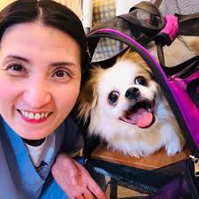 Nursing Service Division Office, Medical Center Taguig